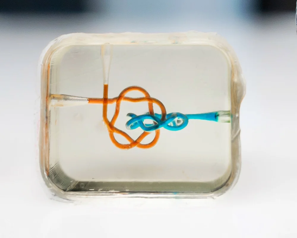 Transparent microfluidic chip with coloured internal channels