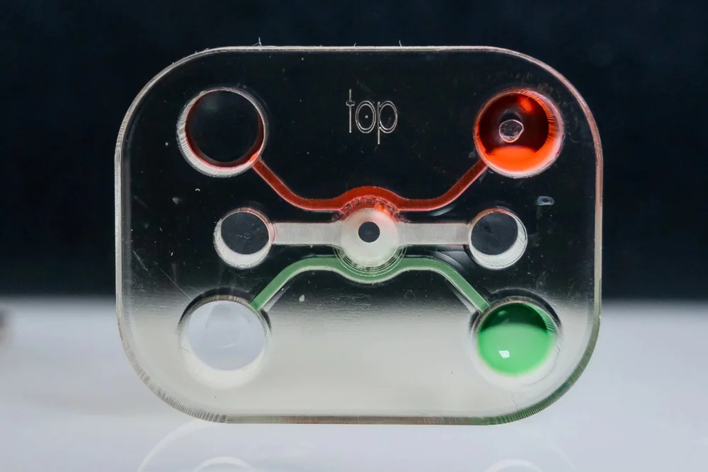 Clear organ-on-chip research device with red and green channels